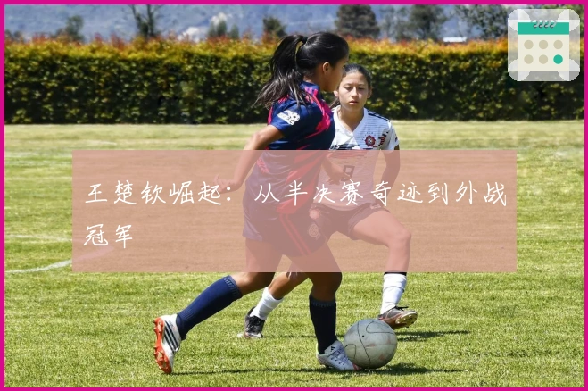 王楚钦崛起：从半决赛奇迹到外战冠军